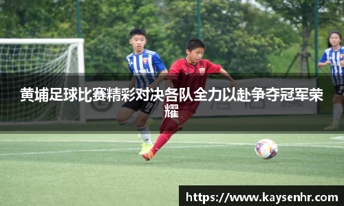 完美体育官网