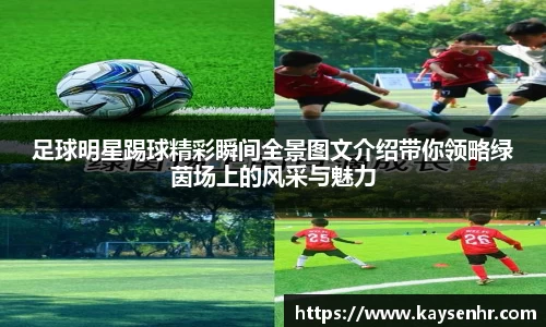 完美体育官网